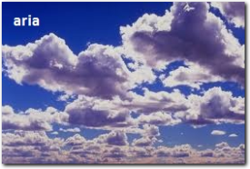 ARIA